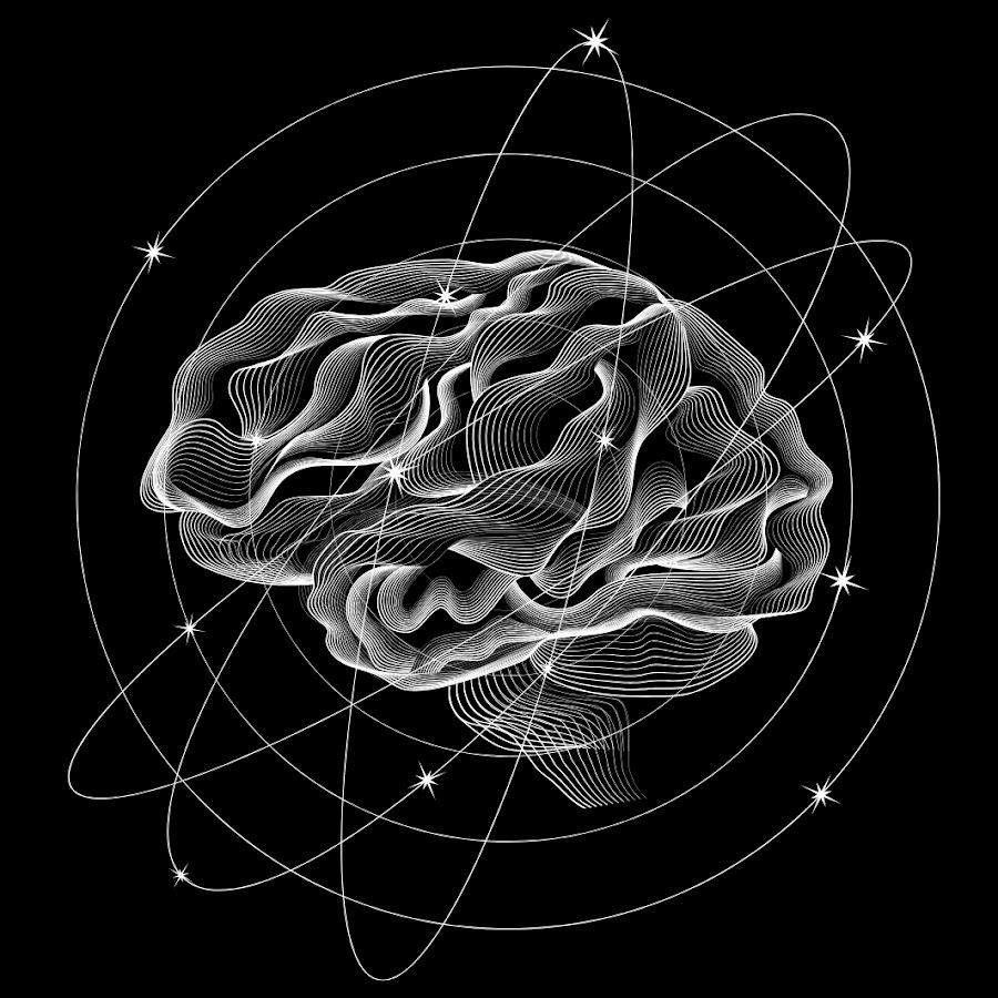 Conceptual representation of neural architectures